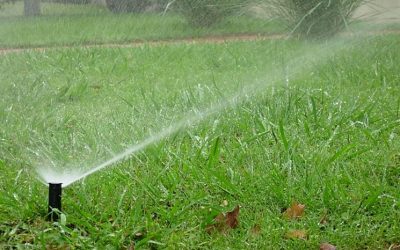 Servizio verde nel comune di Lushnje