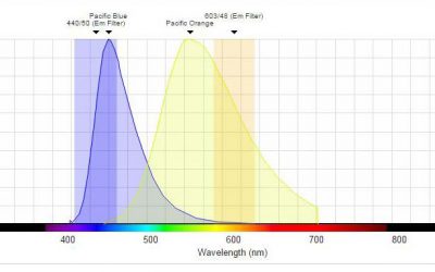 Reagenti per laser “Imunonefelometri Immage” e reagenti per “Flow Cytometry”, adatti per l’apparecchio (EPICS-XL)