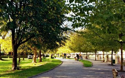 Costruzione di viale dalla scuola “Odisea” al cimitero della città