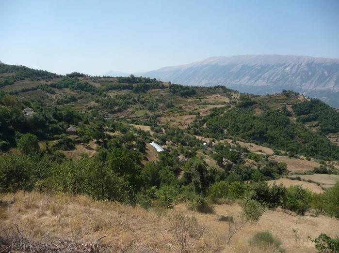 Settlement and asphalting of the village “Toshkëz” roads