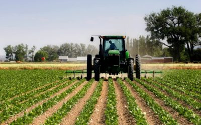 Acquisto di aggregati e macchinari agricoli pesanti