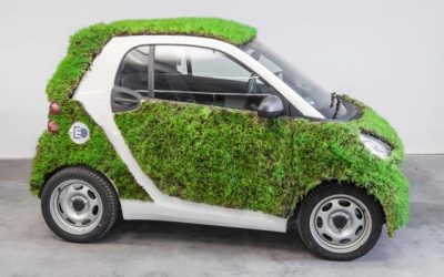 Acquisto dei veicoli e stazioni di ricarica (per il progetto “Green Go Green con una Flotta Modernizzata ed Ecologica”)