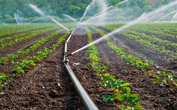 Construction of irrigation scheme – New sector in Xeng, Divjaka