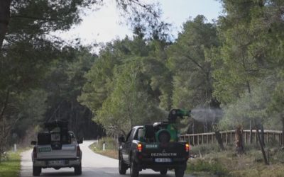 Servizio di disinfezione nelle aree costiere e urbane