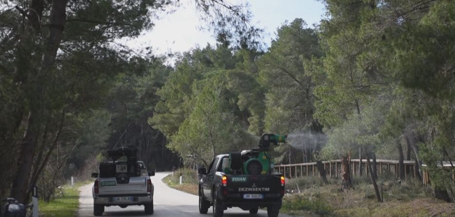 Shërbim dezinsektimi në zonat bregdetare dhe urbane