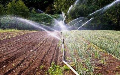 Installazione del sistema d’irrigazione del terreno