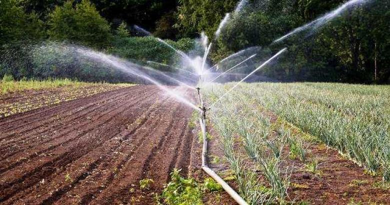 Installazione del sistema d’irrigazione del terreno